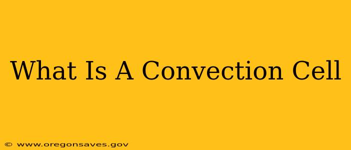 What Is A Convection Cell