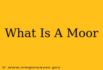 What Is A Moor