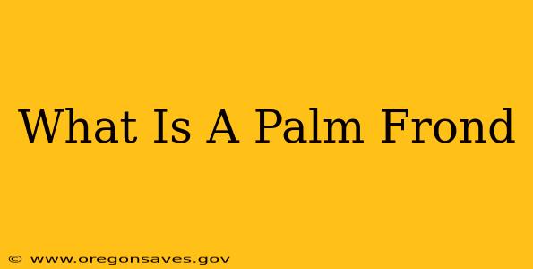 What Is A Palm Frond