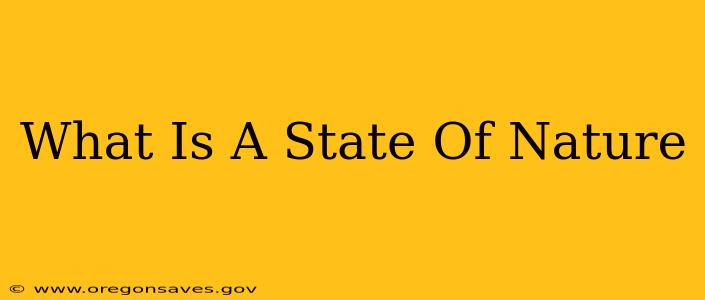What Is A State Of Nature