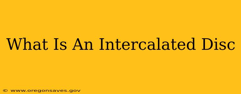 What Is An Intercalated Disc