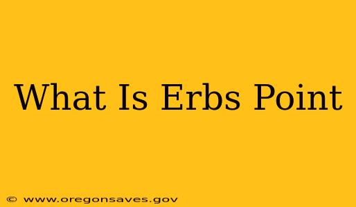 What Is Erbs Point