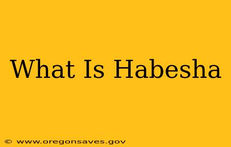 What Is Habesha