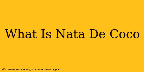 What Is Nata De Coco