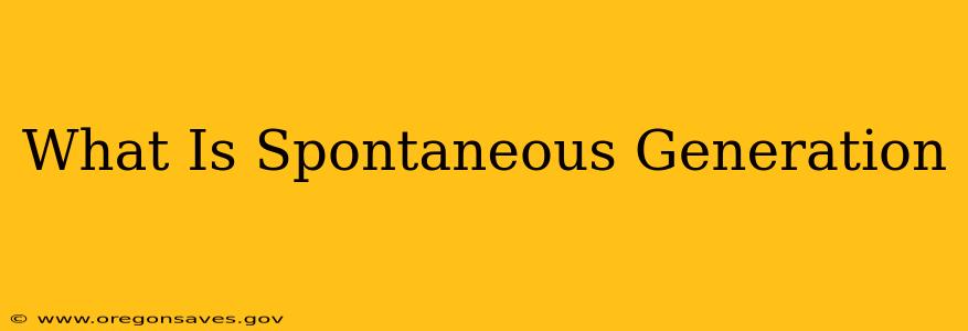 What Is Spontaneous Generation