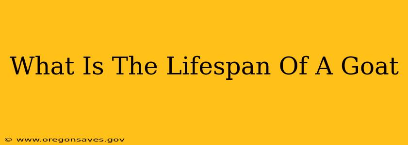 What Is The Lifespan Of A Goat