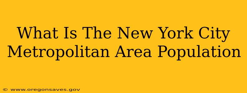 What Is The New York City Metropolitan Area Population