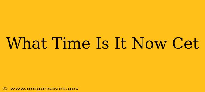 What Time Is It Now Cet