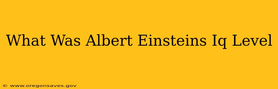What Was Albert Einsteins Iq Level