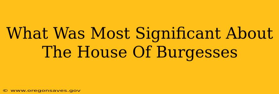 What Was Most Significant About The House Of Burgesses