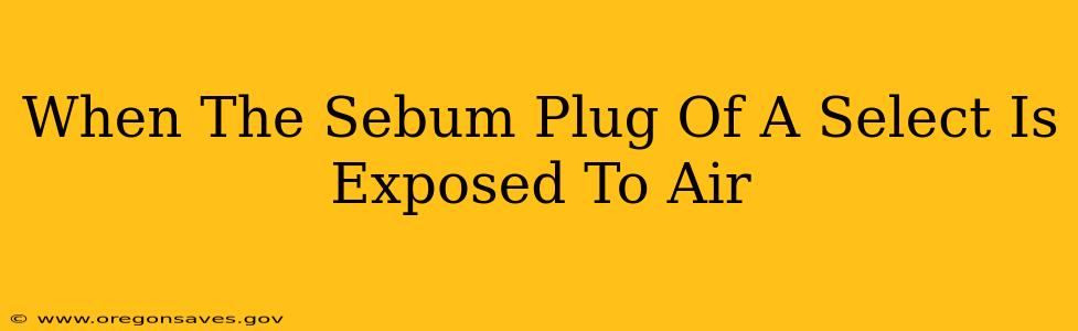 When The Sebum Plug Of A Select Is Exposed To Air