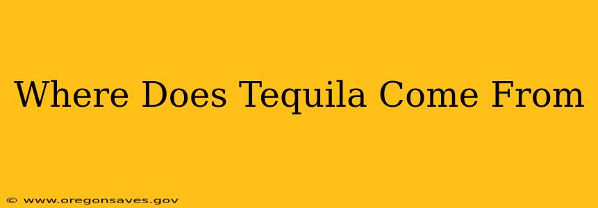 Where Does Tequila Come From