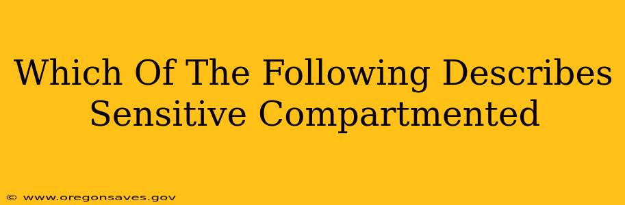 Which Of The Following Describes Sensitive Compartmented
