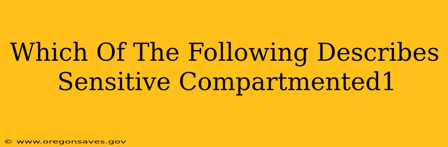 Which Of The Following Describes Sensitive Compartmented1