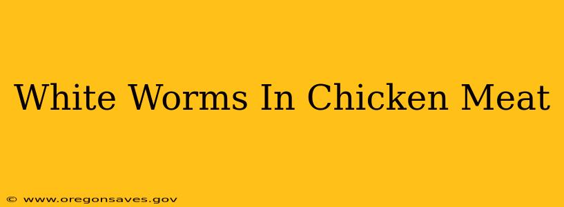 White Worms In Chicken Meat