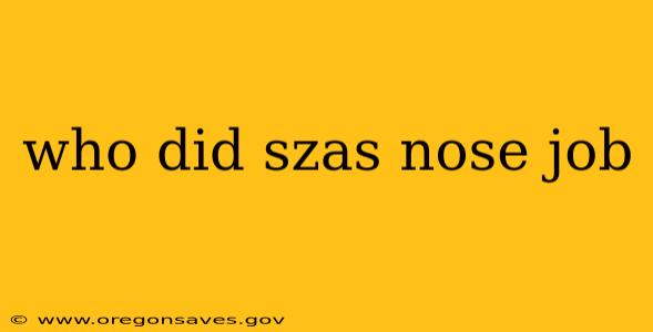 who did szas nose job