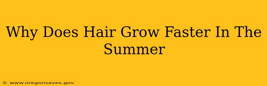 Why Does Hair Grow Faster In The Summer