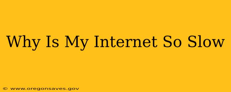 Why Is My Internet So Slow