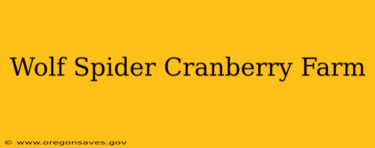 Wolf Spider Cranberry Farm