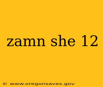 zamn she 12