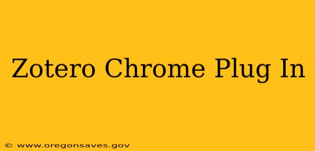 Zotero Chrome Plug In